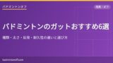 eyecatch 2686 gut recommend